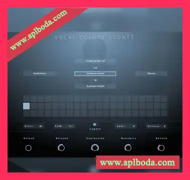 [影视氛围人声纹理乐器音源]Evolution Series Vocal Colors Bronte [KONTAKT]（1.49Gb）
