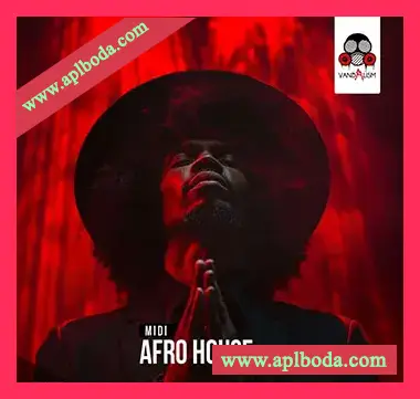 [浩室MiDi素材]Vandalism Midi Afro House [MiDi]（6.61Mb）
