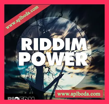 [Dubstep素材Serum预置]Big EDM Riddim Power [WAV, MiDi]（908Mb）