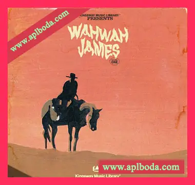[RnB嘻哈陷阱采样]Kingsway Music Library WahWah James Vol.1 [WAV, MP3]（318Mb）