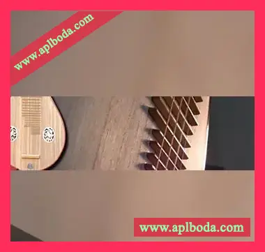 [琵琶柳琴音源]Kong Audio Chinee Series PiPa and LiuQin [KONTAKT]（7.13Gb）