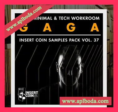 [简约科技浩室采样]Insert Coin Samples Pack Volume 37 ICSP037 Gaga Dark Minimal and Tech Workroom [WAV]（168Mb）