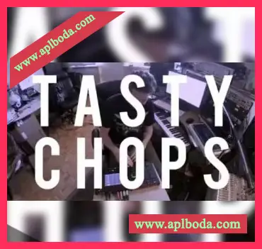 [嘻哈说唱采样]Tasty Chops Pre-chopped Sound Samples BUNDLE [WAV]（3.78Gb）