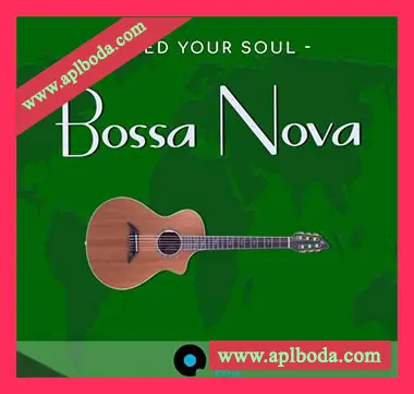 [民族吉他贝斯打击乐采样]Feed Your Soul Music Feed Your Soul Bossa Nova [WAV]（150Mb）