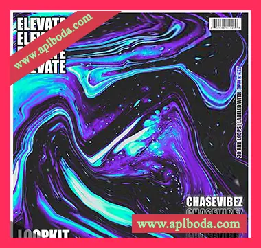 [RnB采样]Chase Vibez Elevate RnB LoopKit [WAV]（867Mb）