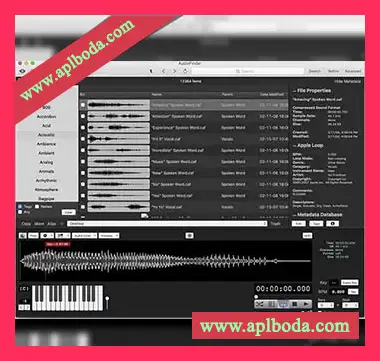 [增强型音频管理处理工具]Iced Audio AudioFinder 5.9.11 MAC OSX-TNT（20Mb）