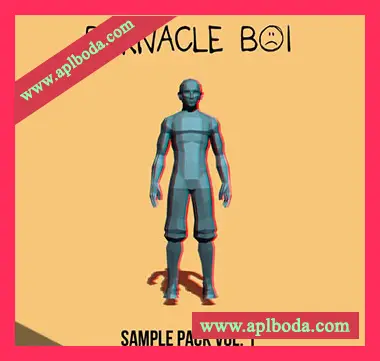 [嘻哈说唱采样]Barnacle Boi Sample Pack Vol.1 [WAV]（31Mb）
