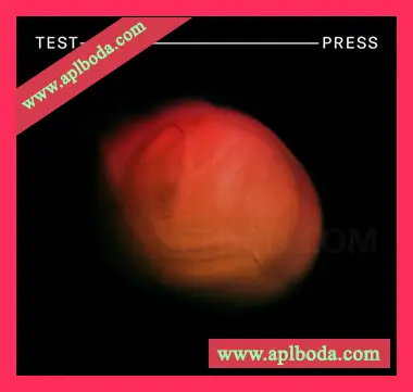 [DnB素材Sylenth1预置Massive预置]Test Press Festival DnB [WAV, MiDi]（294Mb）