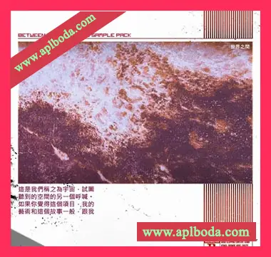 [嘻哈浩室采样]DELAY Between 2 Worlds The Sample Pack [WAV]（390Mb）