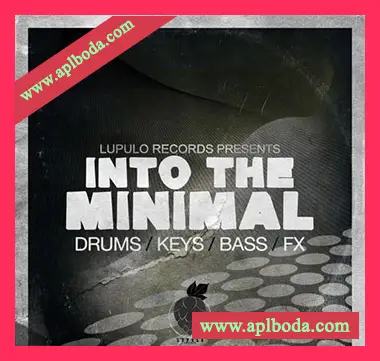 [Minimal简约采样]Lupulo Records Into The Minimal [WAV]（84Mb）