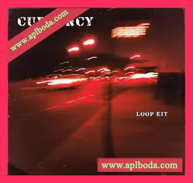 [灵魂RnB采样]Cxrker Currency [WAV]（101.74Mb）