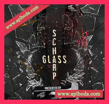 [Pop流行乐采样]NastyTrax Jon Glass and C-Scharp Scharp Glass [WAV]（439Mb）