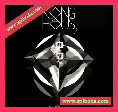 [ENGINE2音源奇特乐器集]Best Service Klanghaus 2 [DAW Addons]（1.17Gb）