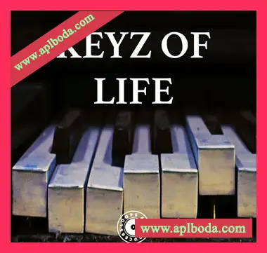 [灵魂RnB旋律采样]Loops 4 Producers Keyz Of Life [WAV]（30Mb）