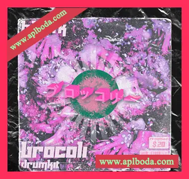 [嘻哈陷阱鼓采样]hlbak Brocoli Drum Kit [WAV]（220Mb）
