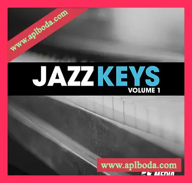 [爵士布鲁斯钢琴采样]New Beard Media Jazz Keys Vol.1 [WAV]（42Mb）