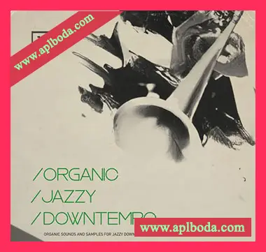 [爵士慢摇采样]Bingoshakerz Organic Jazzy Downtempo [WAV]（642Mb）