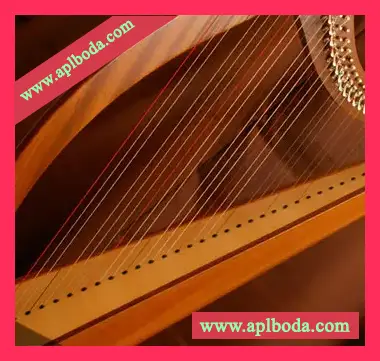[凯尔特竖琴]ARIA Sounds Celtic Harp [KONTAKT]（479Mb）