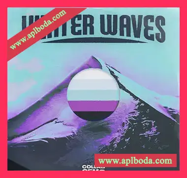 [氛围嘻哈RnB素材]Collab Gem Winter Waves [WAV, MiDi]（392Mb）