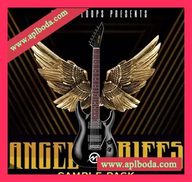[流行乡村摇滚吉他采样]Major Loops Angel Riffs [WAV]（274Mb）