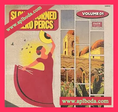[影视乐民族打击乐采样]RARE Percussion Slow Churned Bolero Percs vol.1 [WAV]（311Mb）