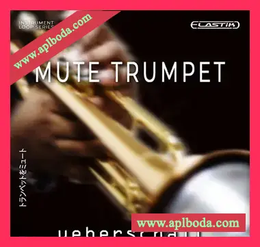 [Elastik音色爵士小号]Ueberschall Mute Trumpet（849Mb）