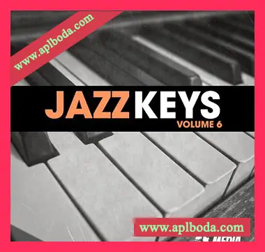 [爵士钢琴采样]New Beard Media Jazz Keys Vol.6 [WAV]（26Mb）
