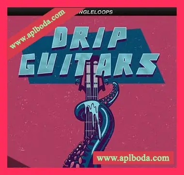 [流行RnB吉他采样]Jungle Loops Drip Guitars [WAV]（100Mb）