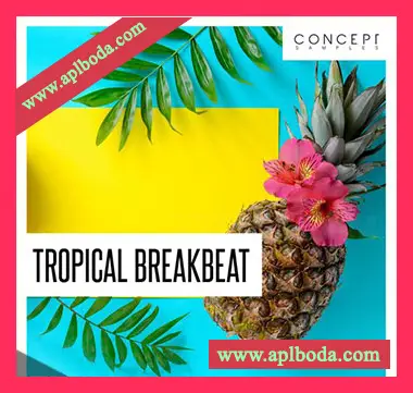 [Breakbeat休闲电子舞曲采样]Concept Samples Tropical Breakbeat [WAV]（132Mb）
