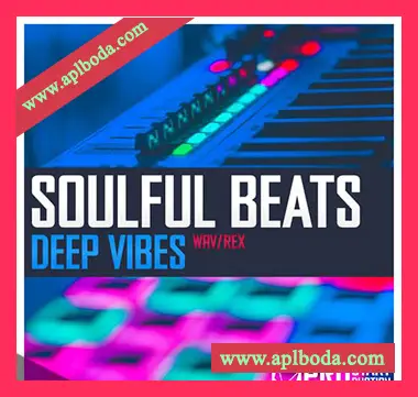 [嘻哈说唱采样]Beatrising Soulful Beats Deep Vibes [WAV]（113Mb）