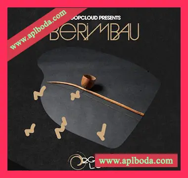 [拨铃波琴打击弦乐器采样]Organic Loops Berimbau [WAV]（61Mb）