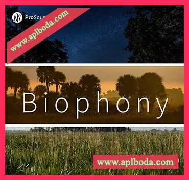 [影视自然环境音效FX采样]Pro Sound Effects Biophony [WAV]（9.57Gb）