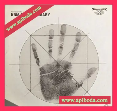 [Retro怀旧乐采样]Patchbanks KRM Music Library [AiFF]（367Mb）