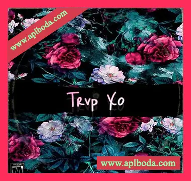 [Trap陷阱采样]Dynasty Loops Trvp Xo [WAV]（291Mb）