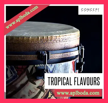 [Tropical流行热带休闲舞曲采样]Concept Samples Tropical Flavours [WAV]（163Mb）