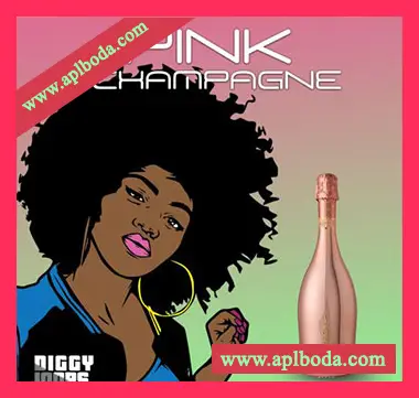 [灵魂RnB采样]Big Citi Loops Pink Champagne [WAV]（315Mb）