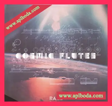 [环境氛围宇宙长笛采样]RARE Percussion Cosmic Flutes Vol.1 [WAV]（175Mb）