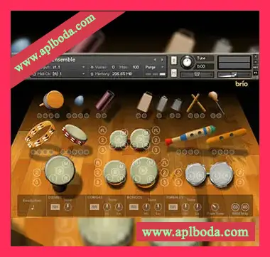 [拉丁打击乐鼓音源]Indiginus Brio Latin Percussion Ensemble v2 [KONTAKT]（776Mb）