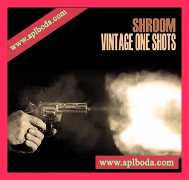 [嘻哈说唱鼓音色采样]Shroom Vintage One Shots [WAV]（30Mb）
