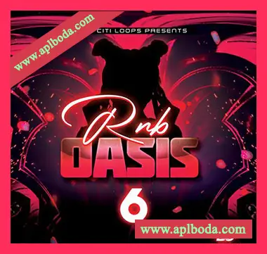 [RnB采样]Big Citi Loops RnB Oasis 6 [WAV]（14Mb）