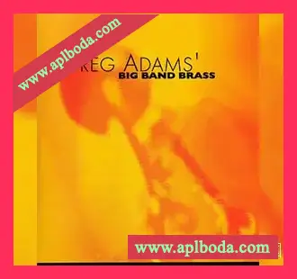 [大乐队铜管LOOP素材]Big Fish Audio Greg Adams Big Band Brass [ACiD, WAV, AiFF]（1.75Gb）