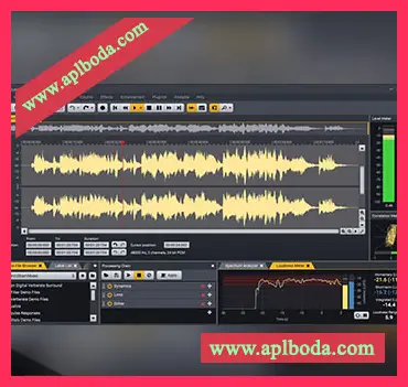 [数字音频处理专家]Acon Digital Acoustica v7.7.8 v7.7.1 [WiN, MacOSX]（1.21Gb）