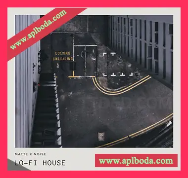 [MassiveX预置低保真浩室]GOGOi Lo-Fi House（20Mb）