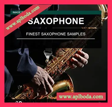[流行爵士萨克斯采样]Image Sounds Saxophone 09 [WAV]（16Mb）
