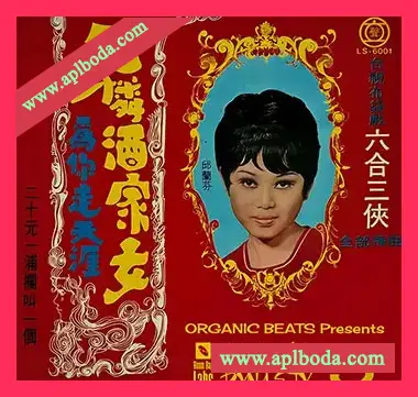 [氛围驰放采样]Boom Bap Labs Organic Beats Dim Sum Dynasty 5 [WAV]（25Mb）