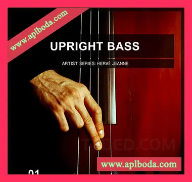 [爵士放克立式贝斯采样]Image Sounds Upright Bass 1 [WAV]（528Mb）