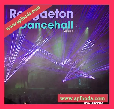 [拉丁雷击顿采样]New Beard Media Reggaeton vs Dancehall Vol 1 [WAV]（282Mb）