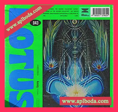 [怀旧灵魂RnB采样]The Rucker Collective 043 Lotus [WAV]（738Mb）