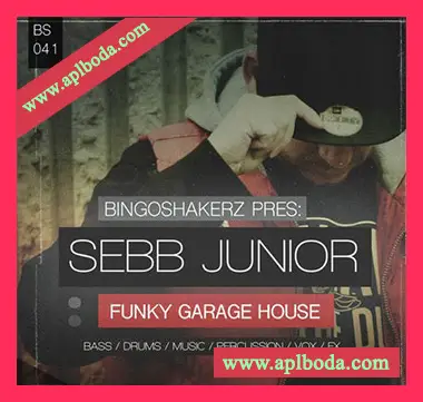 [深邃浩室采样]Bingoshakerz Sebb Junior Funky Garage House [WAV]（322Mb）