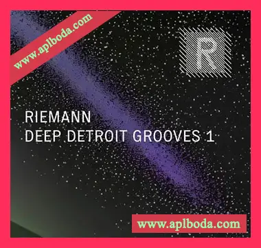 [泰克诺舞曲采样]Riemann Kollektion Riemann Deep Detroit Grooves 1 [WAV]（274Mb）